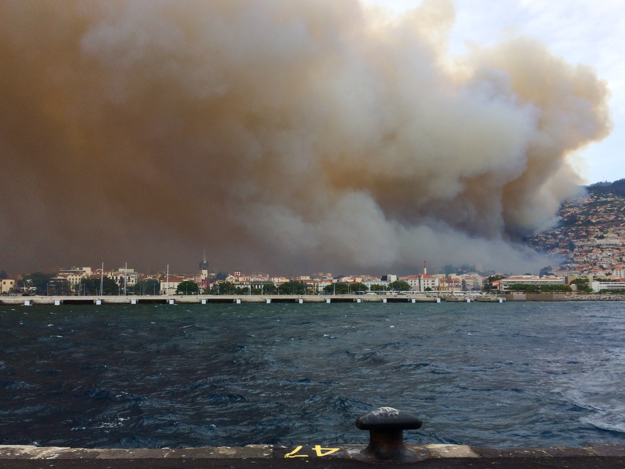 Incêndio na cidade do Funchal a 9 de Agosto de 2016 
© Rui Campos Matos